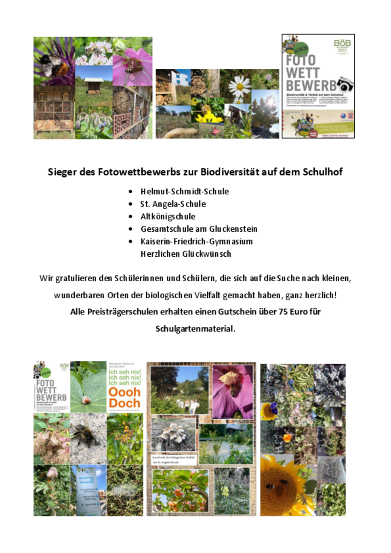 Fotowettbewerbsieger Biodiversität Auf Dem Schulhof Böb 